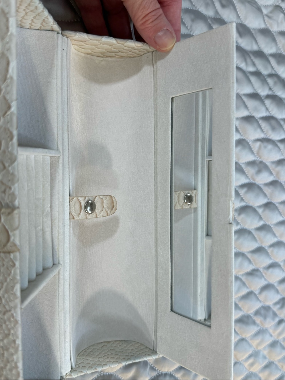 Cream Snakeskin textured Jewelry case with Silver Buckle - Picture 4 of 12
